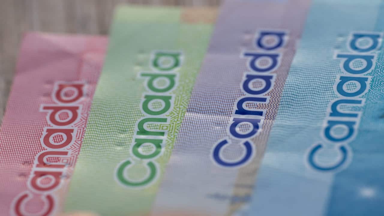 Canadian dollar bills in different colours