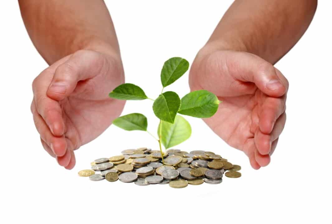 a person's hands around plant growing from the stack of coins